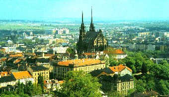 hala brno